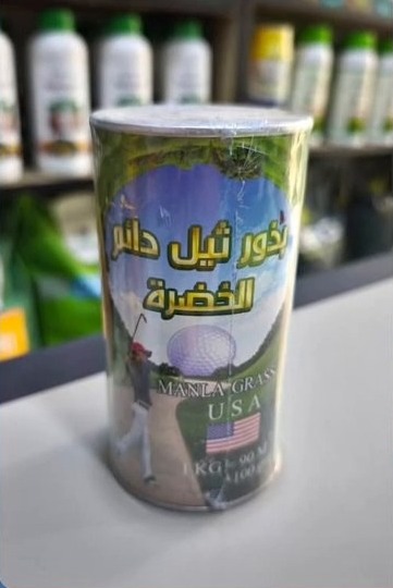 نبات من مشتل البركة 2